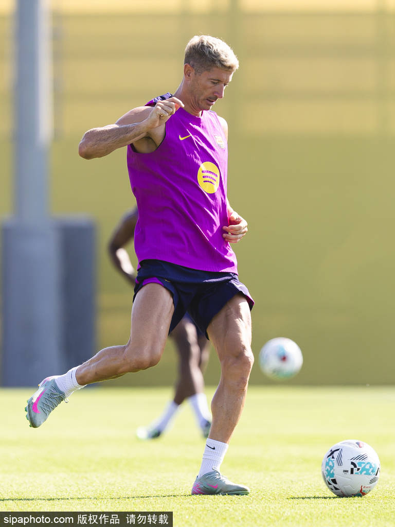 赏性, 更在近年来, 事进入间歇